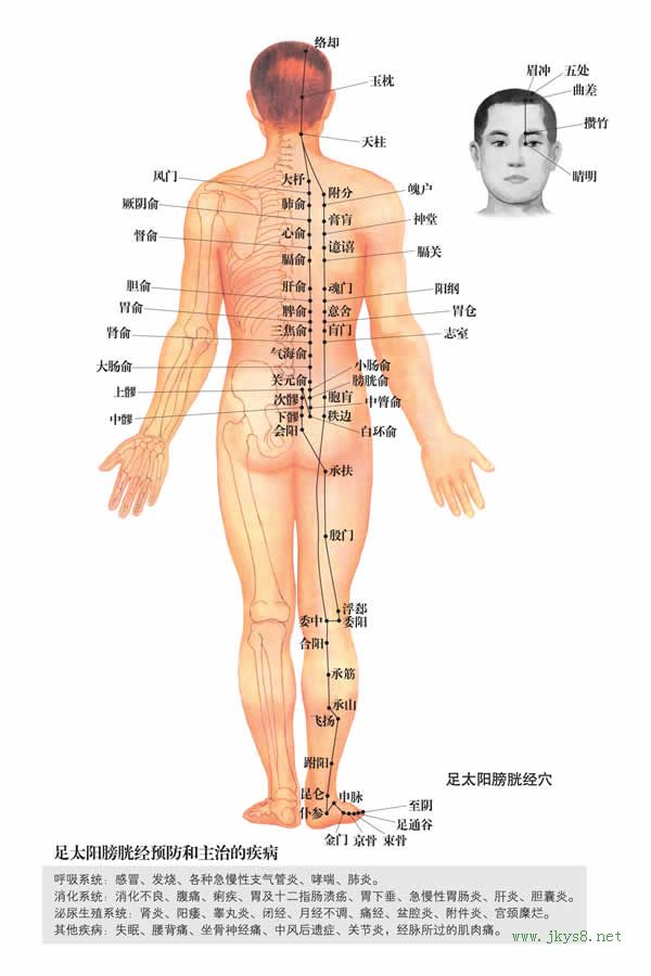 大杼穴：膀胱经(图文)