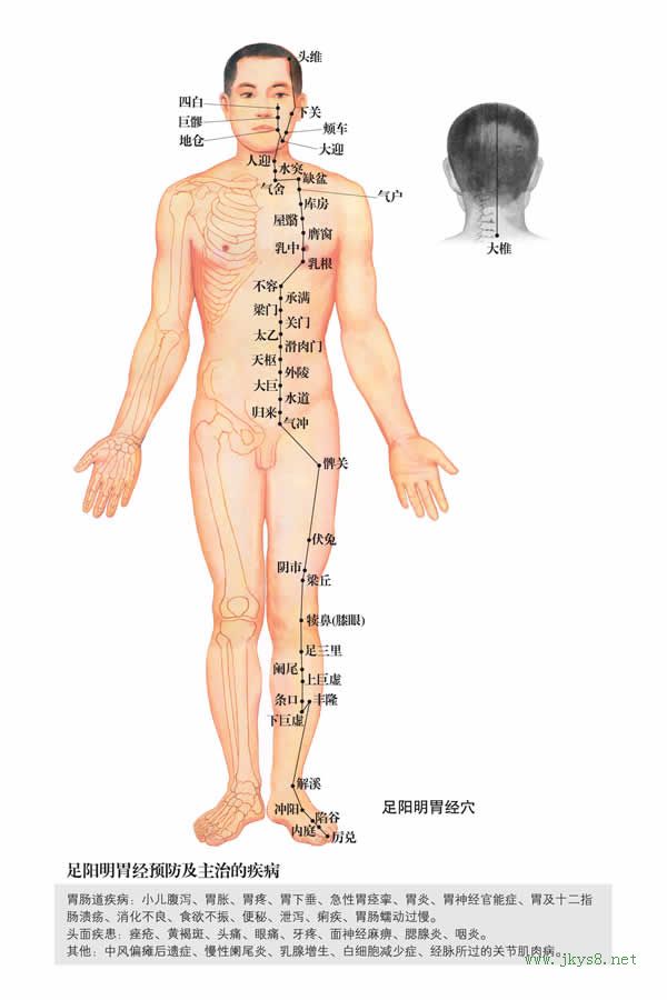 不容穴：胃经(图文)